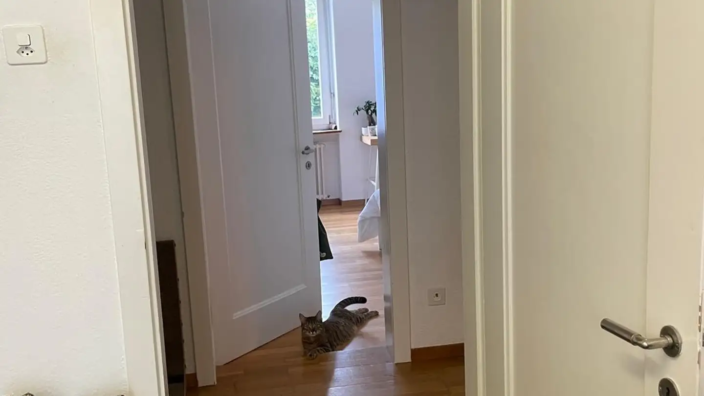 Single room for rent - Regensbergstrasse 301, 8050 Zürich - Photo 3