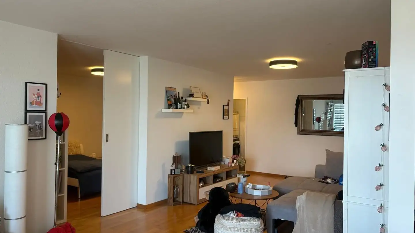 Appartamento in affitto - Im Staubeweidli 19, 8820 Wädenswil