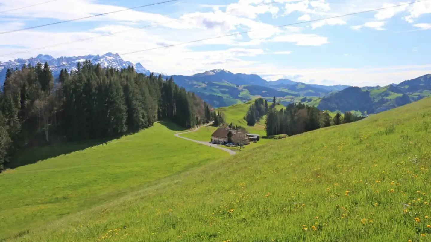 Terreno edificabile in vendita - Brenden, 9050 Appenzell Meistersrüte