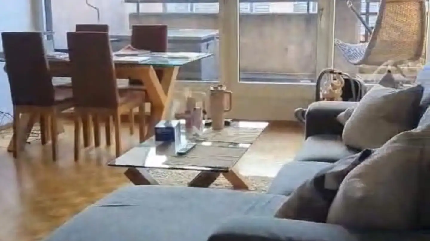 Appartamento in affitto - Rue Du Léopard, 1227 Carouge GE