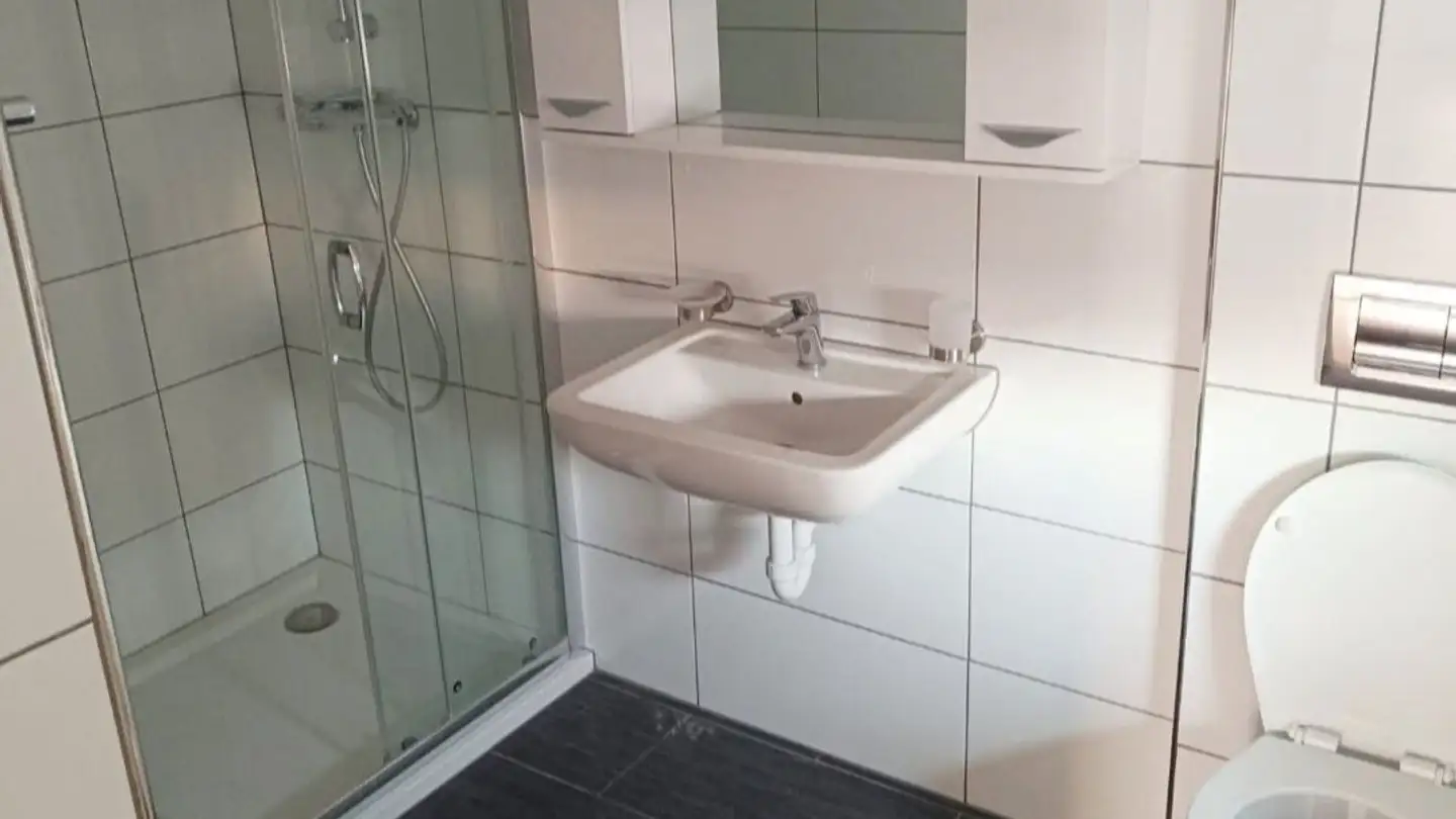 Wohnung mieten - Seetalstrasse 19, 5708 Birrwil - Foto 2