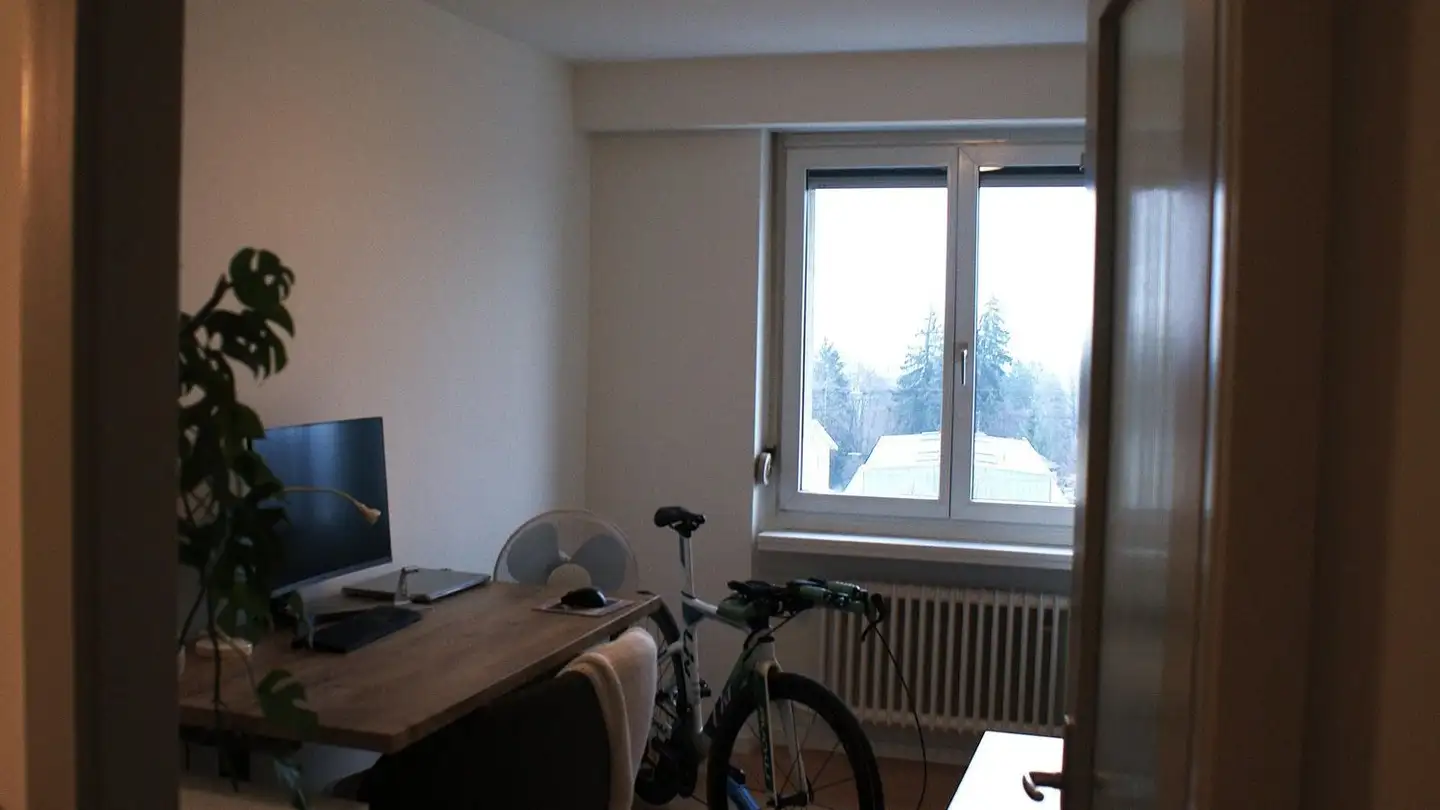 Duplex à louer - Friedbergstrasse 7, 9240 Uzwil - Photo 3