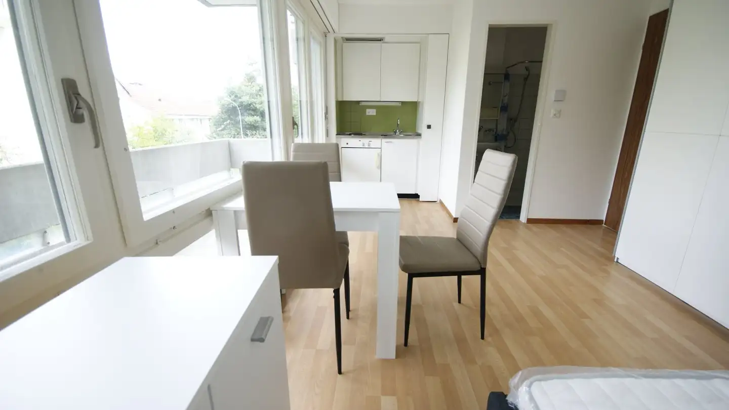Appartement à louer - Dachslernstrasse 91, 8048 Zürich - Photo 2
