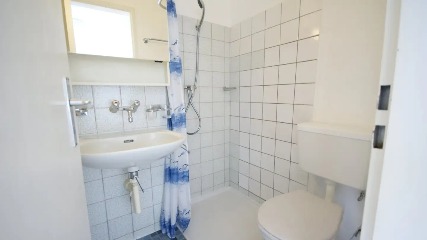 Appartement à louer - Dachslernstrasse 91, 8048 Zürich - Photo 3