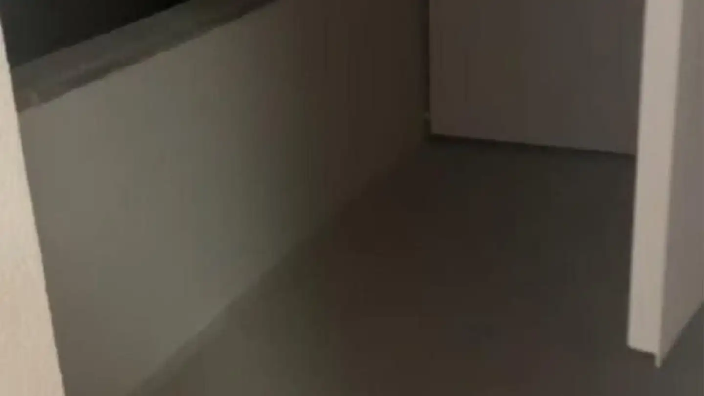 Appartamento in affitto - Lindenstrasse 16, 9230 Flawil - Foto 3