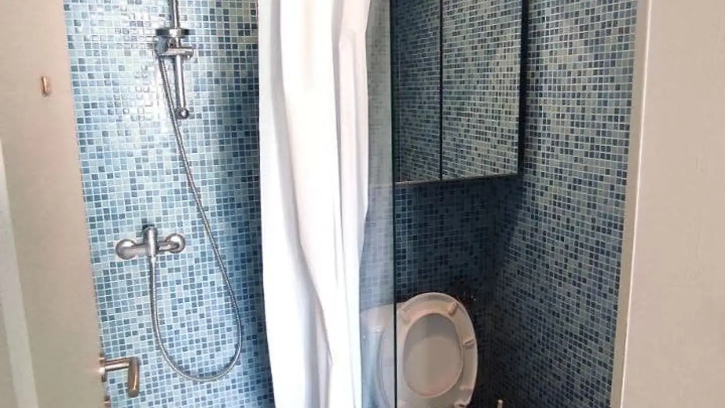 Single room for rent - Rue De La Gare, 1091 Grandvaux - Photo 3