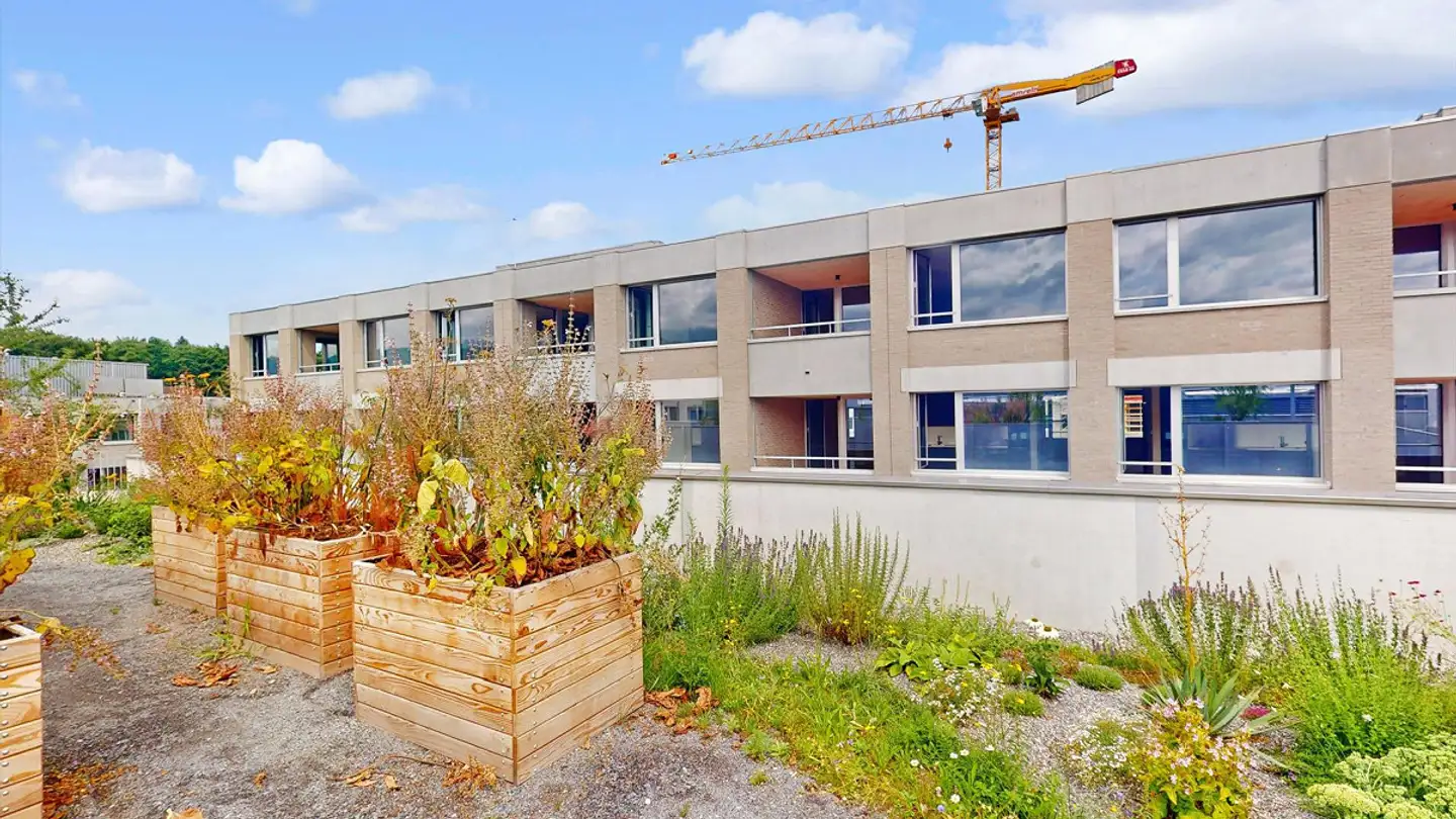 Loft à louer - Gerliswilstrasse 13d, 6020 Emmenbrücke