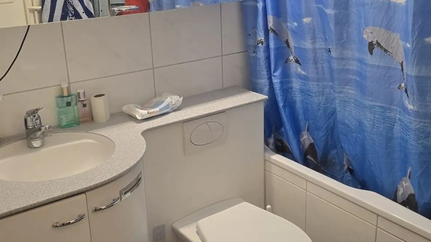 Chambre à louer - Kappenbühlweg, 8049 Zürich - Photo 4