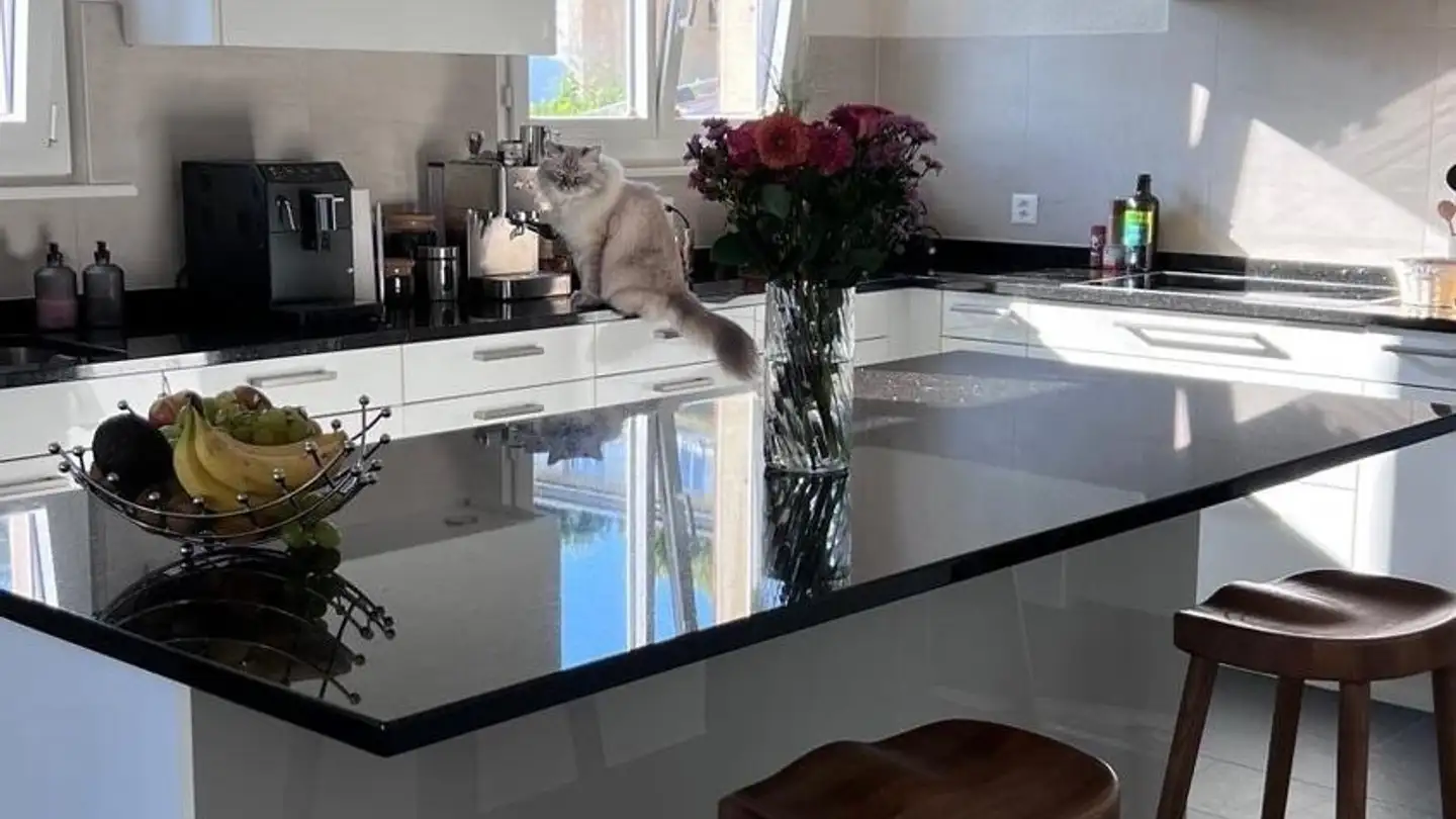 Appartamento in affitto - Chemin De Clair-Joly 48, 1093 La Conversion - Photo 3