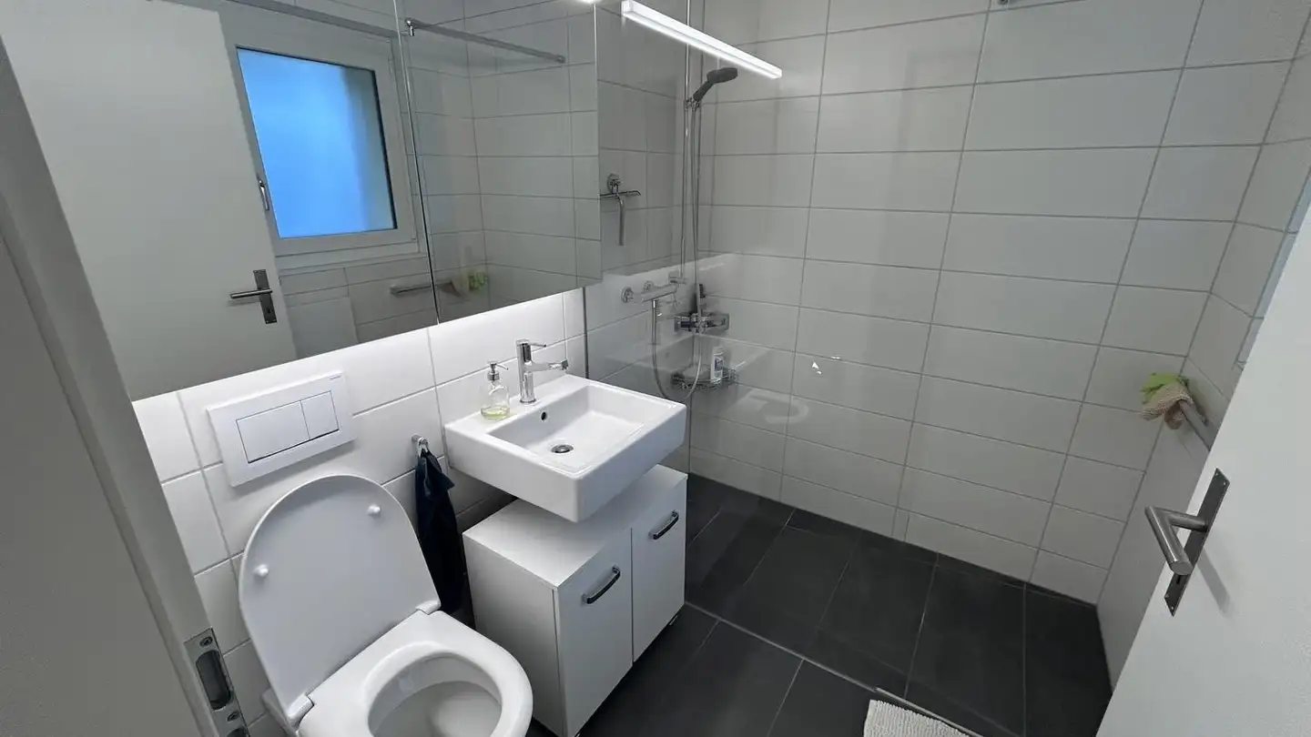 Appartement à louer - Hirzenbachstrasse 12, 8051 Zürich - Photo 4