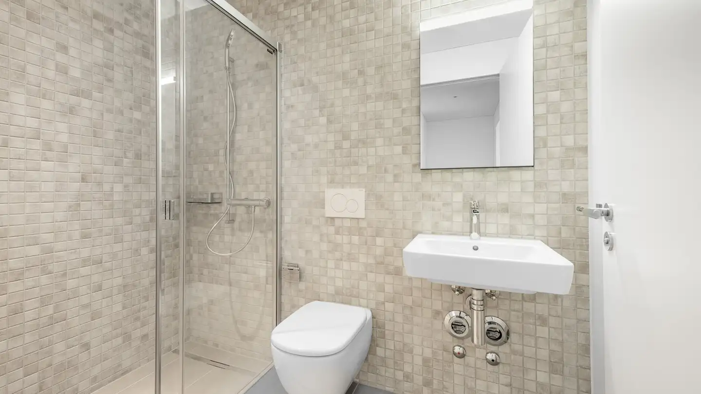 Apartment for rent - Salamanderweg 10, 8134 Adliswil - Photo 4