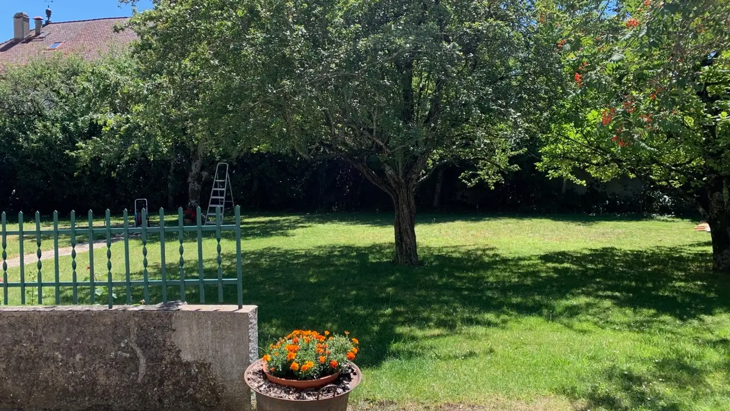 Casa singola in vendita - 1275 Chéserex - Photo 3