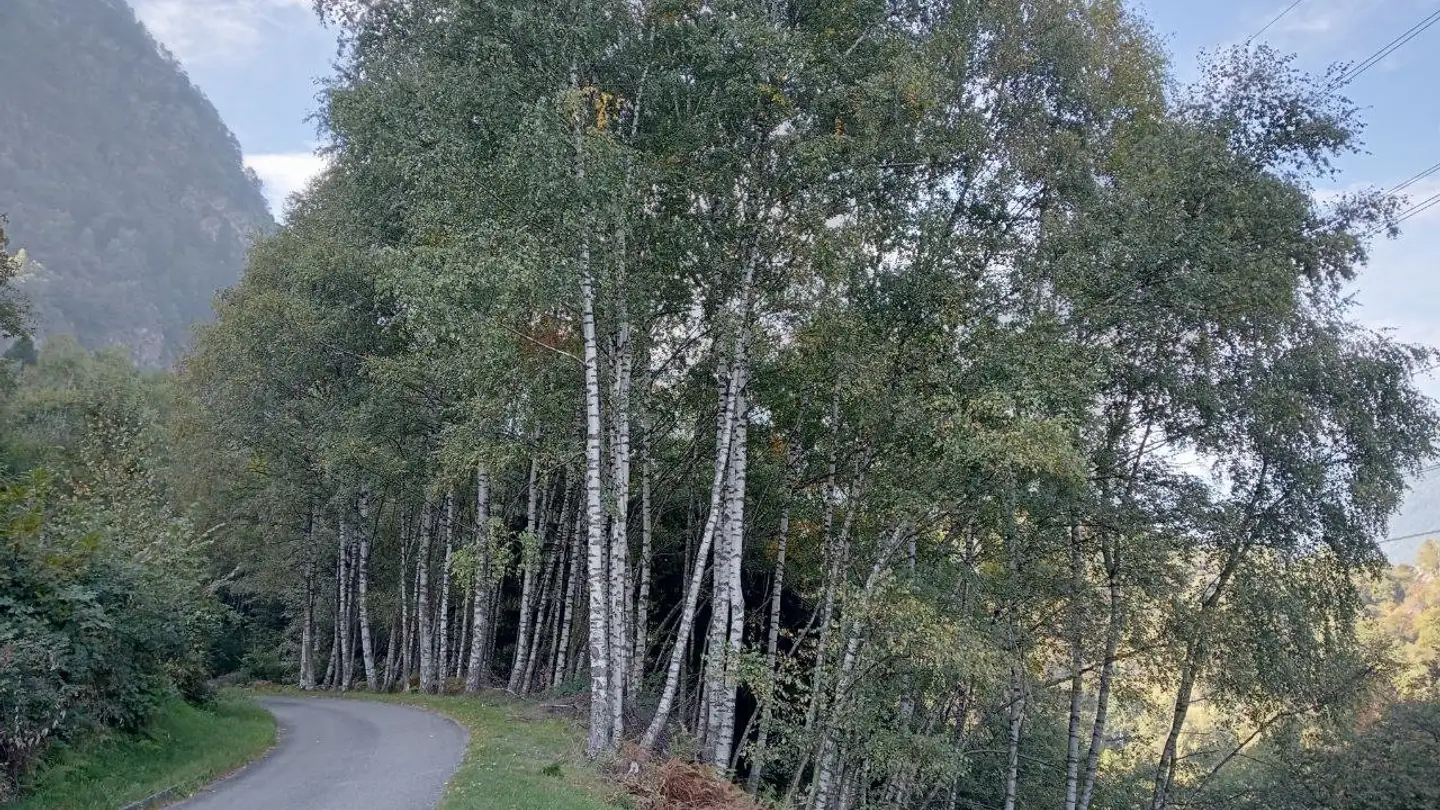 Casa singola in vendita - 6745 Giornico - Photo 4