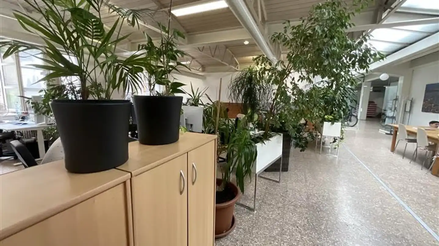 Bürofläche mieten - Rue Du Général-Dufour / General-Dufour-Strasse 28, 2502 Biel/Bienne - Foto 2