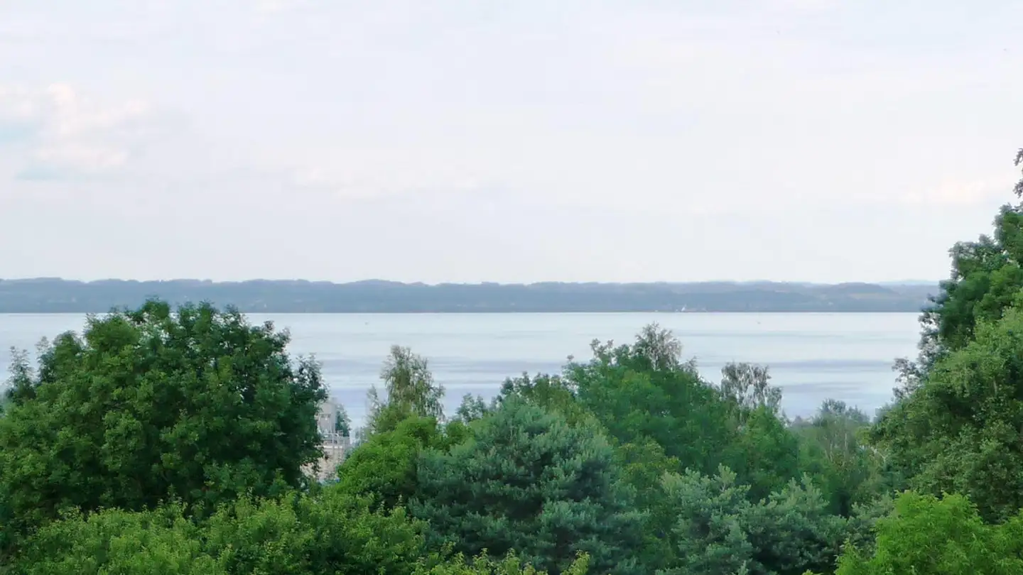 Apartment for rent - Thannstrasse 15, 9403 Goldach - Photo 2