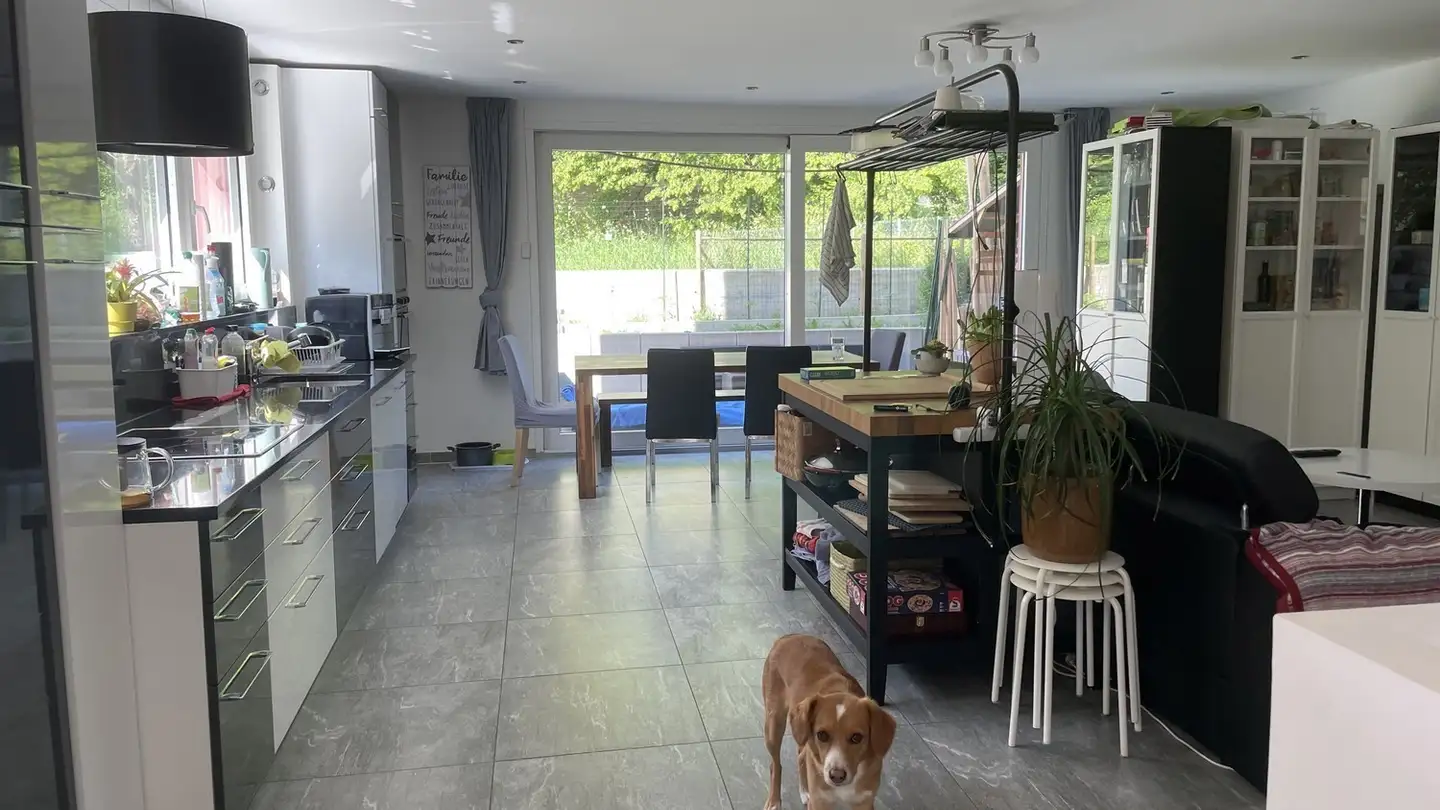 Chambre à louer - Glättlistrasse 39, 8048 Zürich - Photo 3