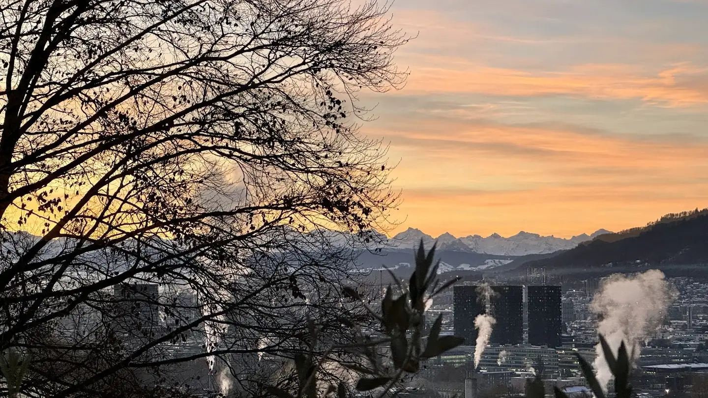 Chambre à louer - Frankentalerstrasse 55, 8049 Zürich - Photo 3