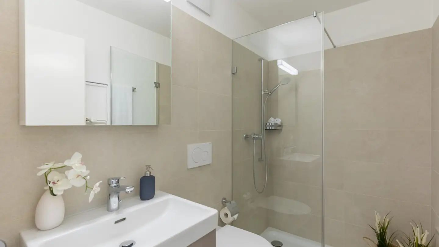 Wohnung mieten - Sommerhaldenstrasse 15a, 5200 Brugg AG - Foto 4