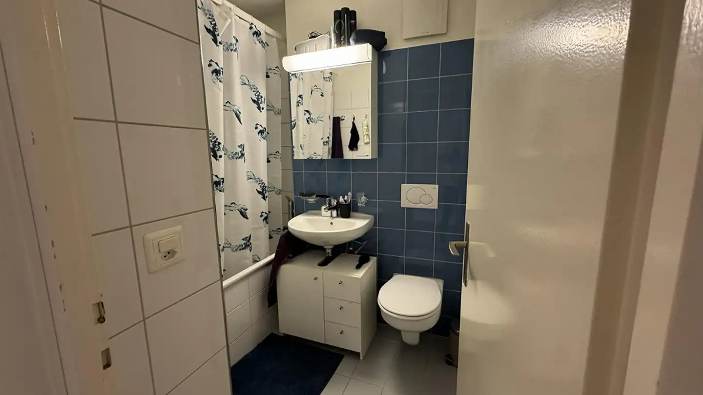 Appartement à louer - Meierskappelerstrasse 6, 6343 Rotkreuz