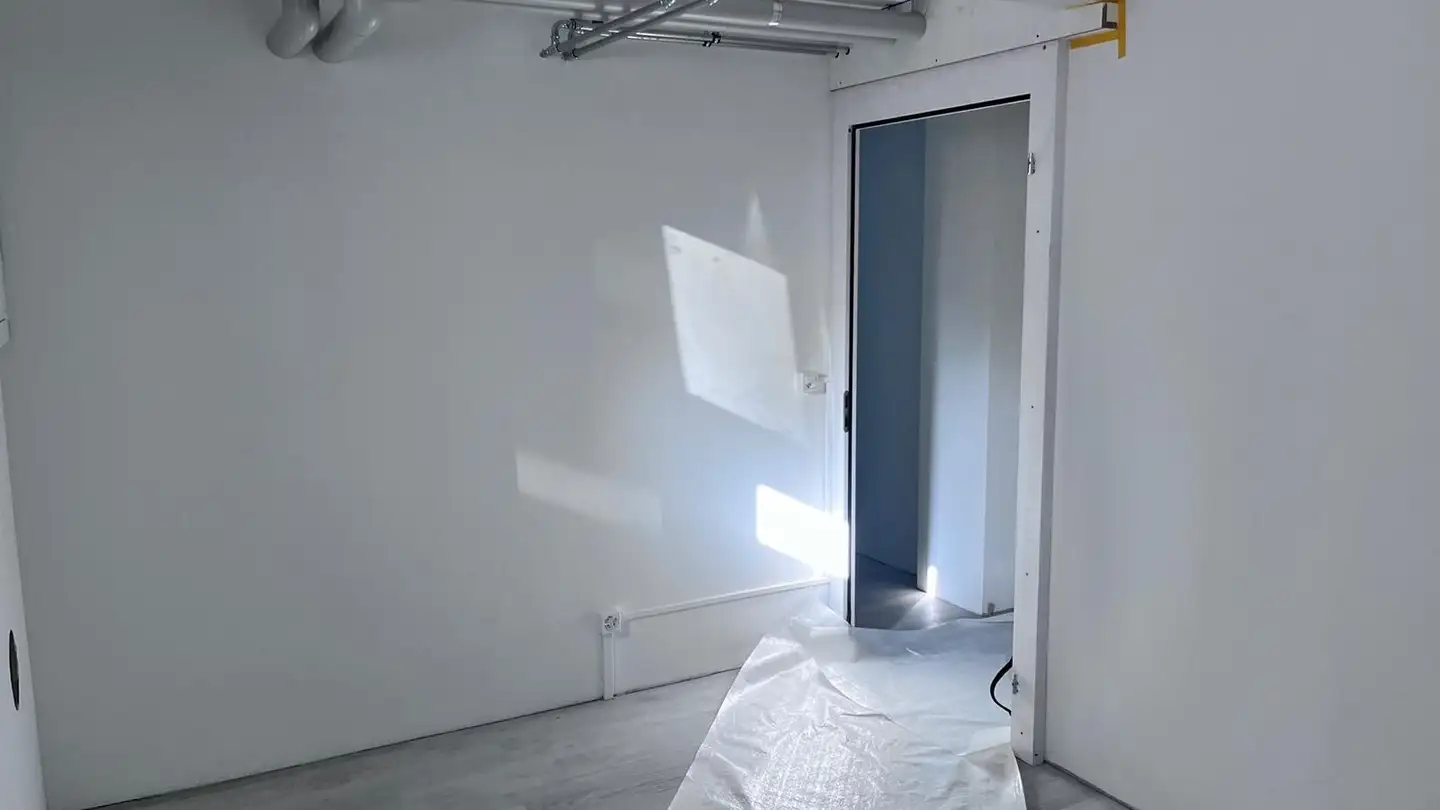 Chambre à louer - Wülflingerstrasse 159, 8408 Winterthur