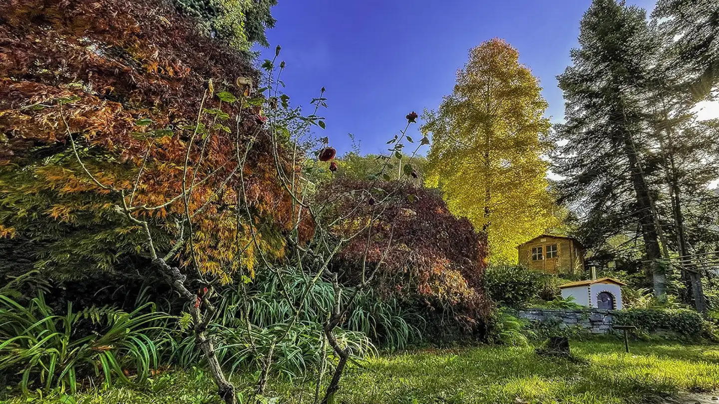 Casa singola in vendita - Via Del Fé, 6582 Pianezzo - Foto 3