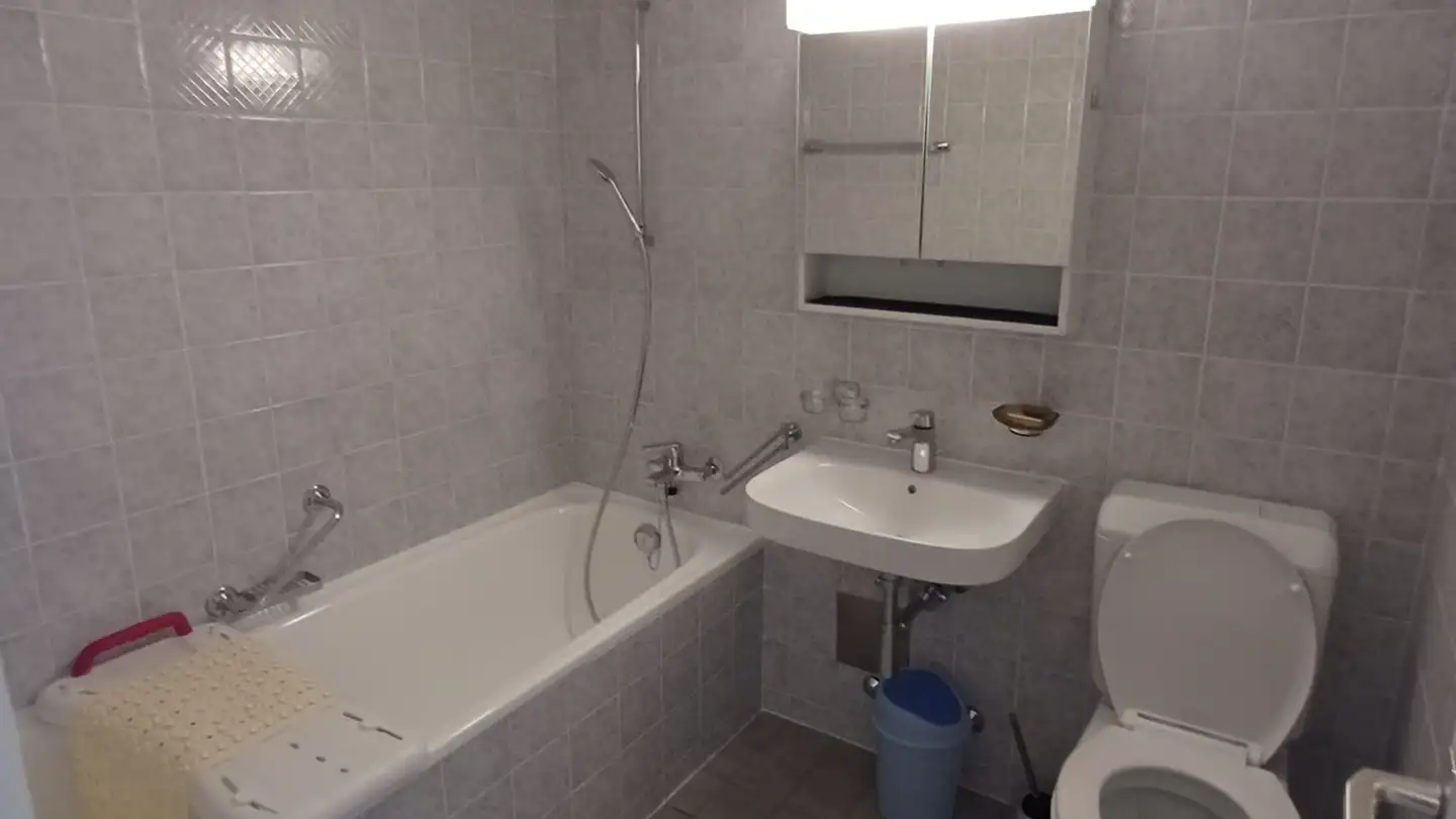 Wohnung mieten - Avenue De La Piscine 30, 1020 Renens VD