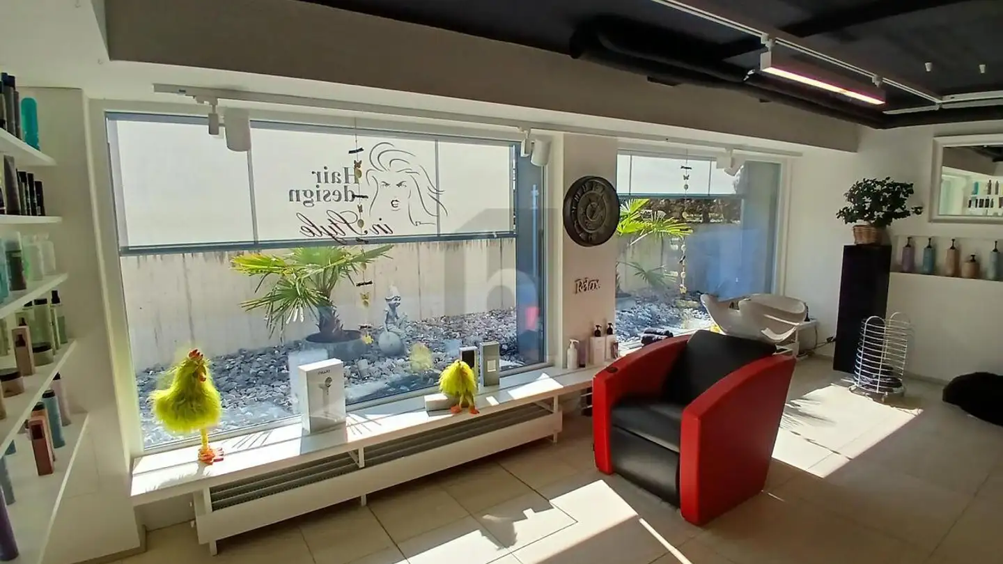 Negozio in affitto - 4106 Therwil - Photo 2