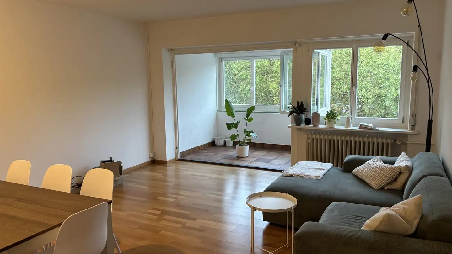 Chambre à louer - Manessestrasse, 8003 Zürich