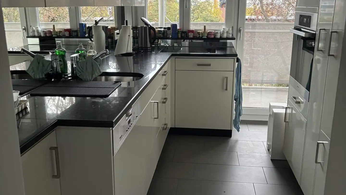 Chambre à louer - Manessestrasse, 8003 Zürich - Photo 2