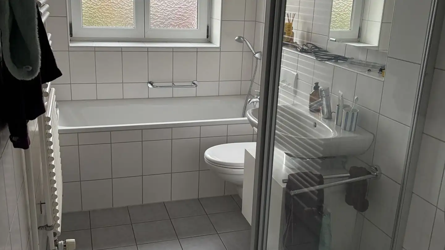 Chambre à louer - Manessestrasse, 8003 Zürich - Photo 3