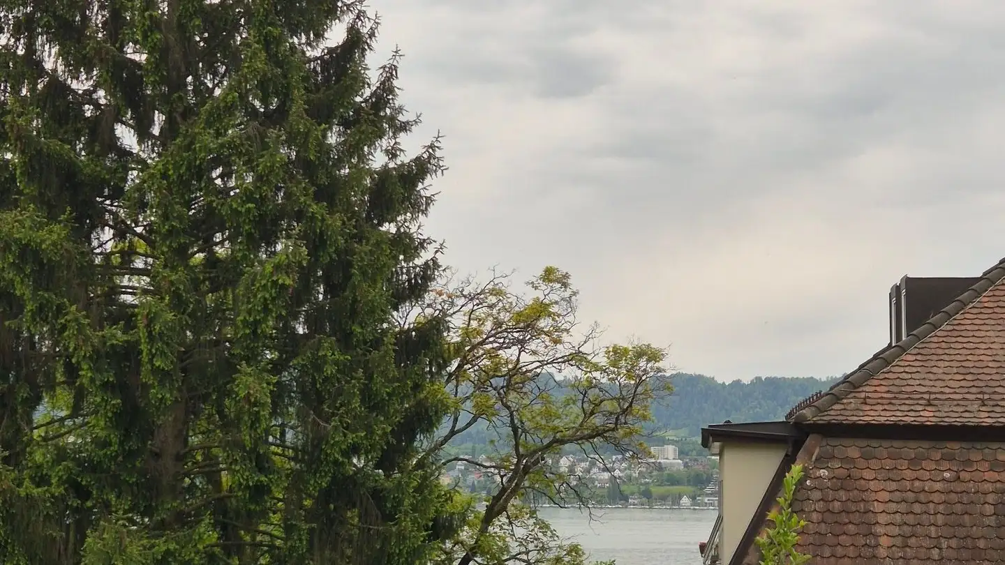 Penthouse for rent - Zolliker Strasse 198, 8008 Zürich - Photo 2