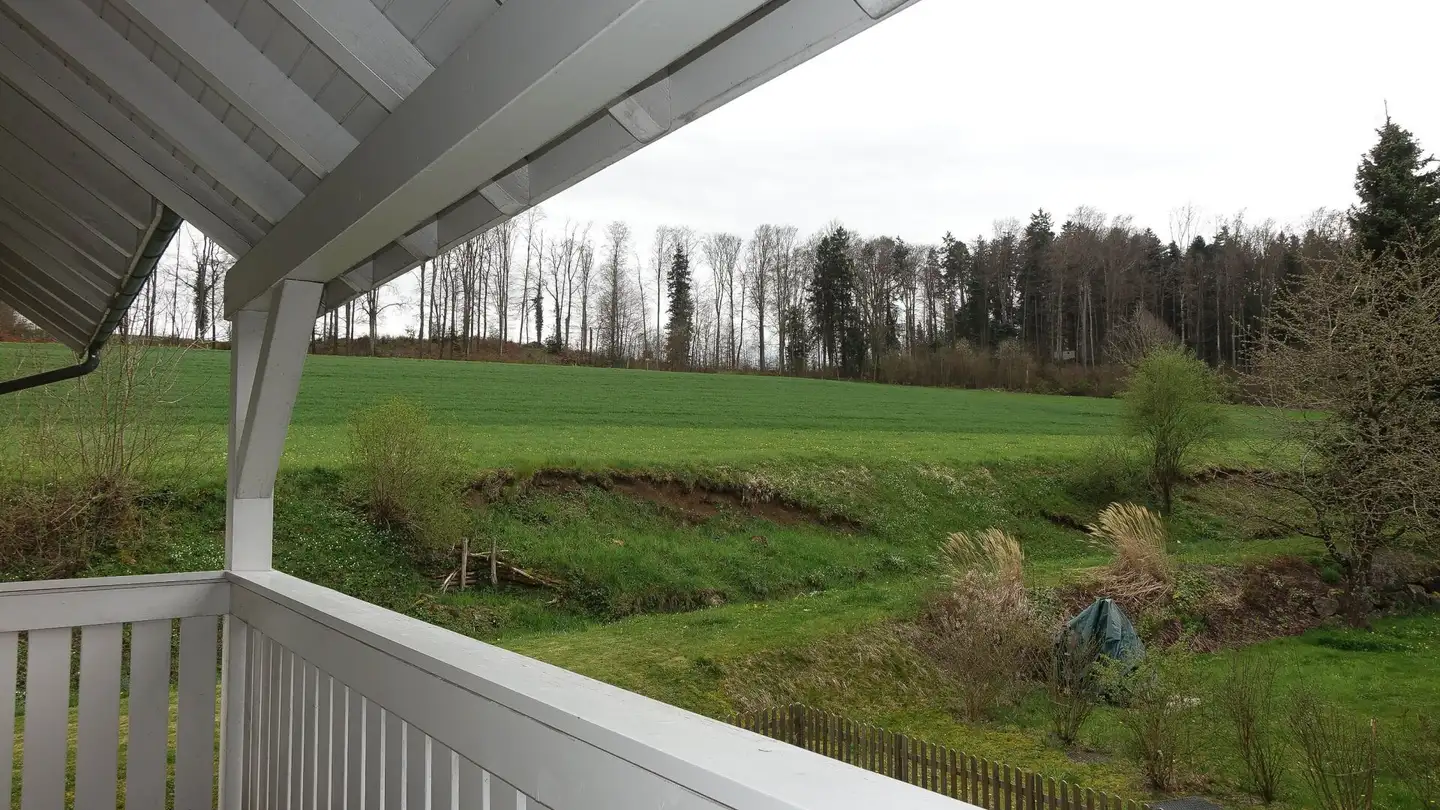 Appartamento in affitto - Billikon 50, 8314 Kyburg