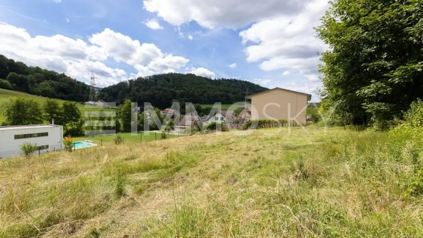 Bien immobilier à vendre - 4208 Nunningen - Photo 2