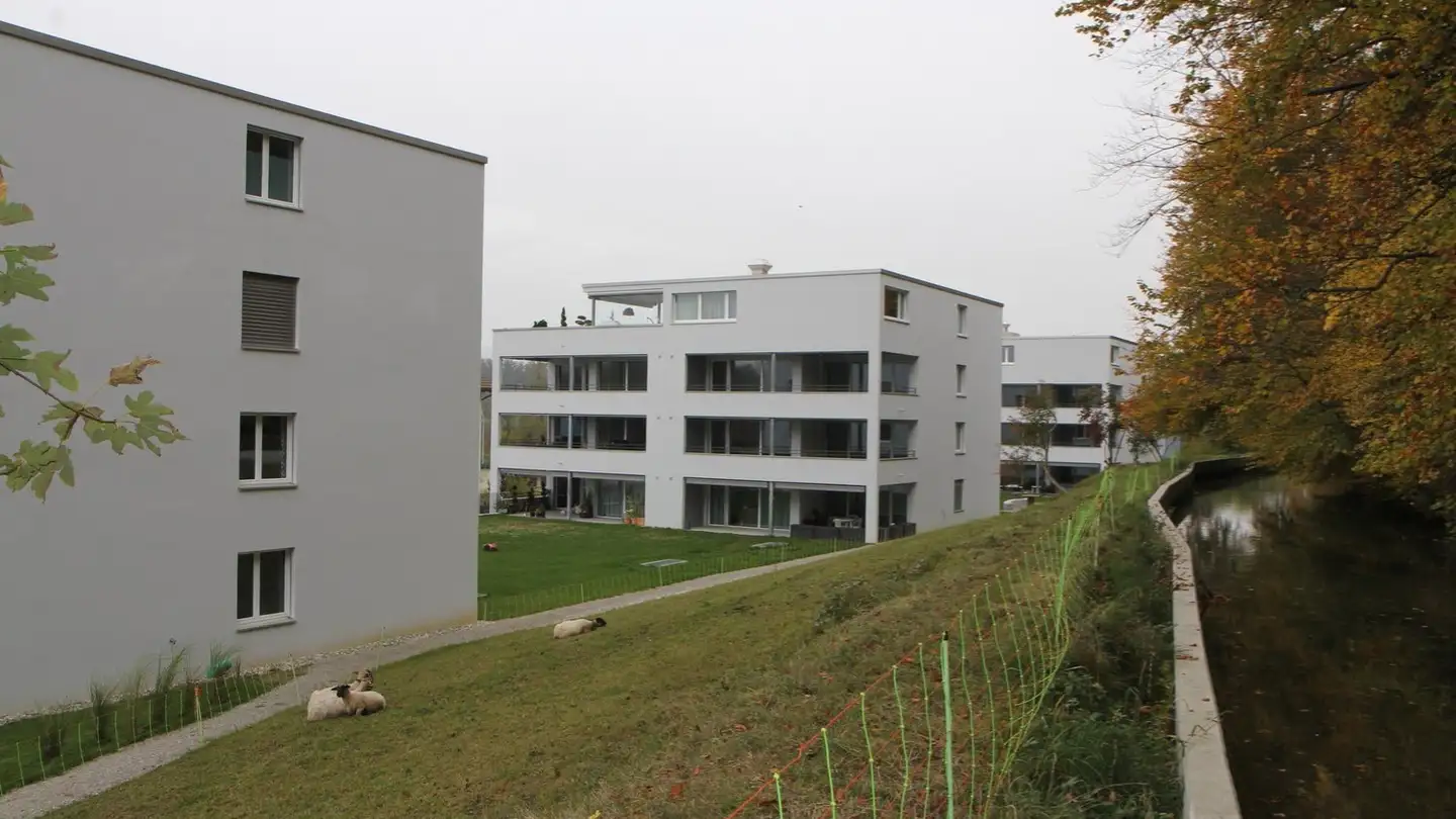 Wohnung mieten - Bodenstrasse 7, 4853 Murgenthal - Foto 2