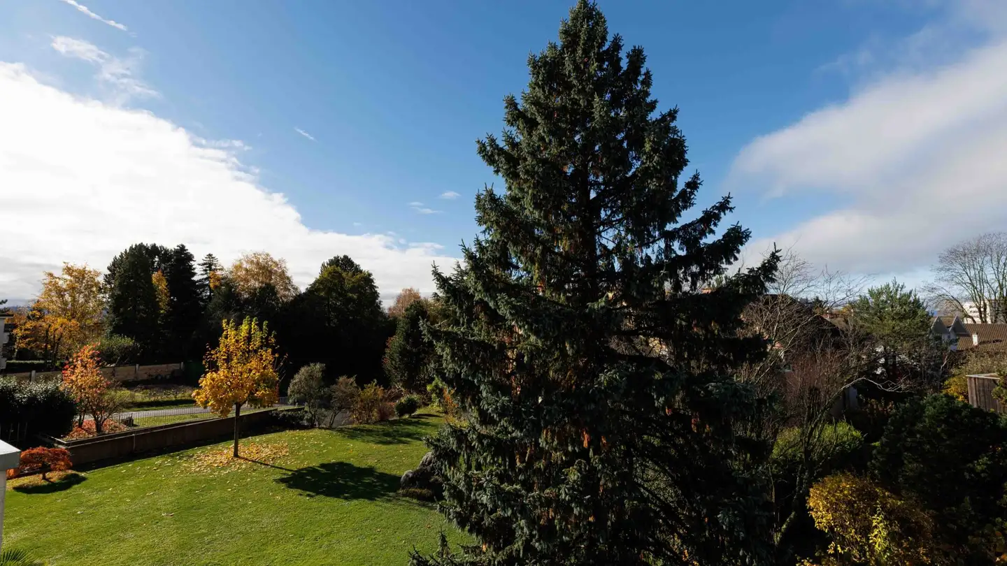 Appartement à vendre - 1012 Lausanne