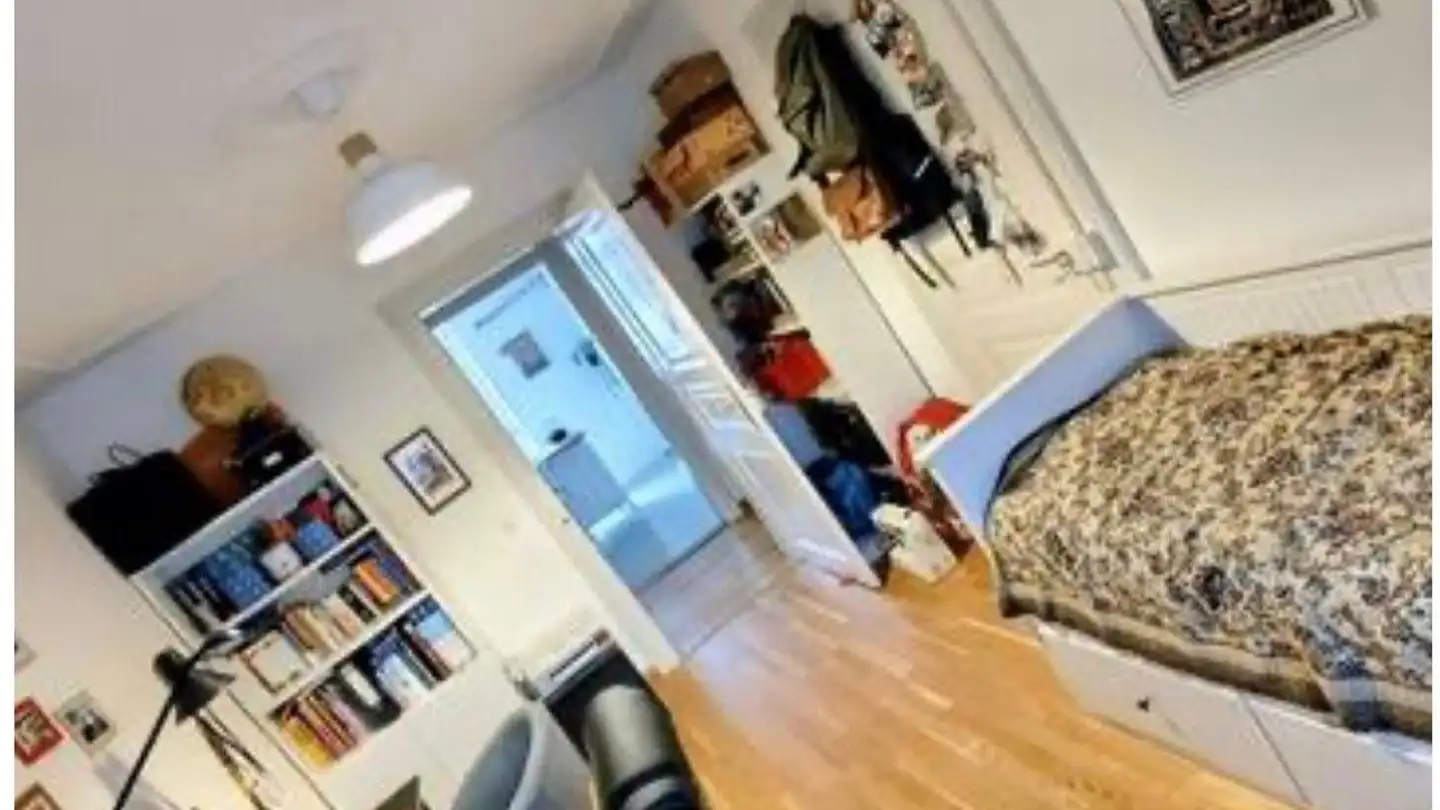 Duplex for rent - Froburgstrasse, 4052 Basel - Photo 3