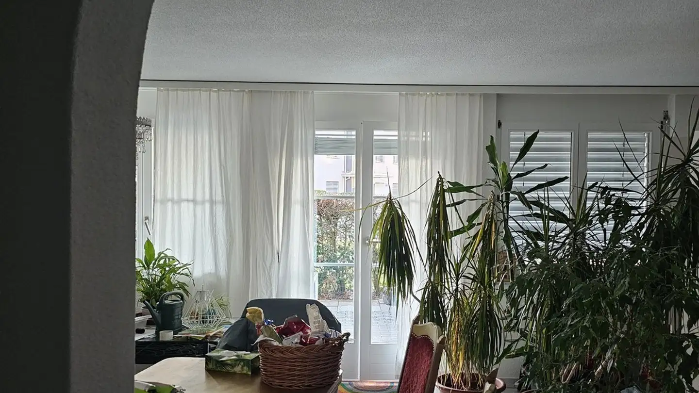 Appartamento in affitto - 6247 Schötz