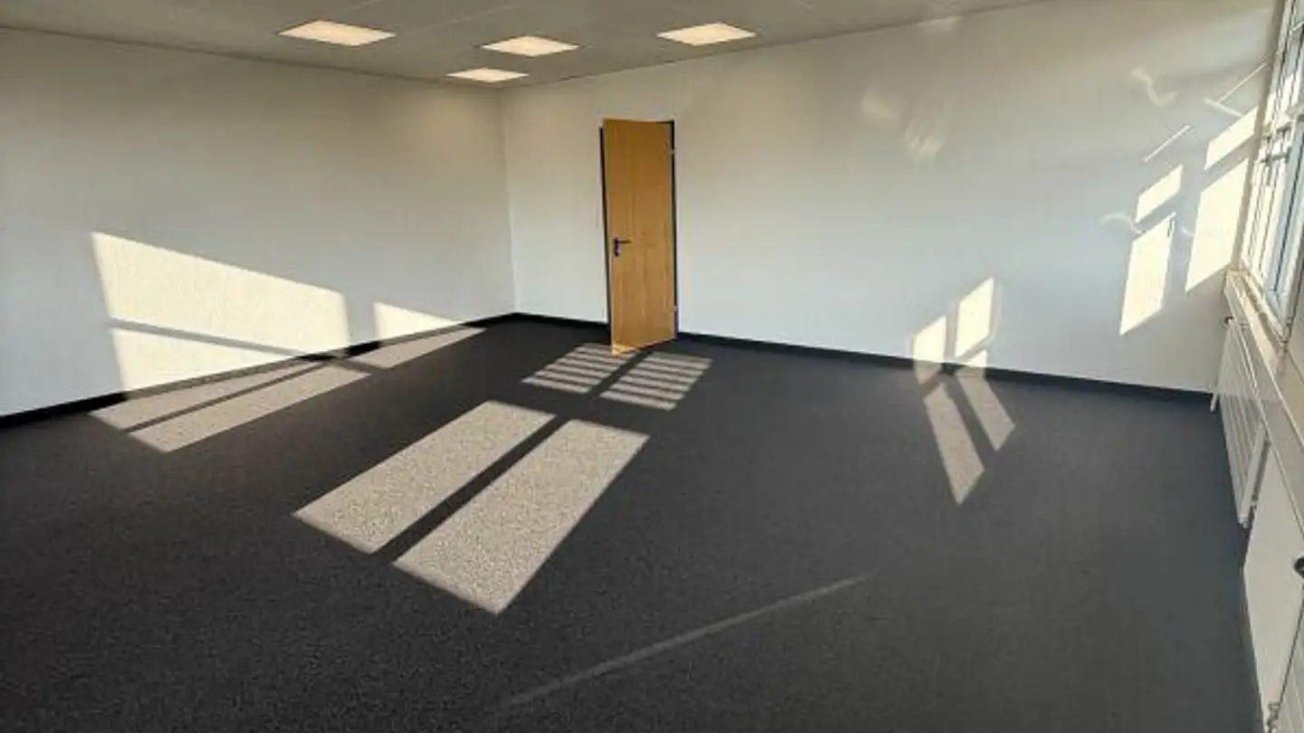 Laboratorio in affitto - Werkstrasse 10, 9444 Diepoldsau - Photo 4