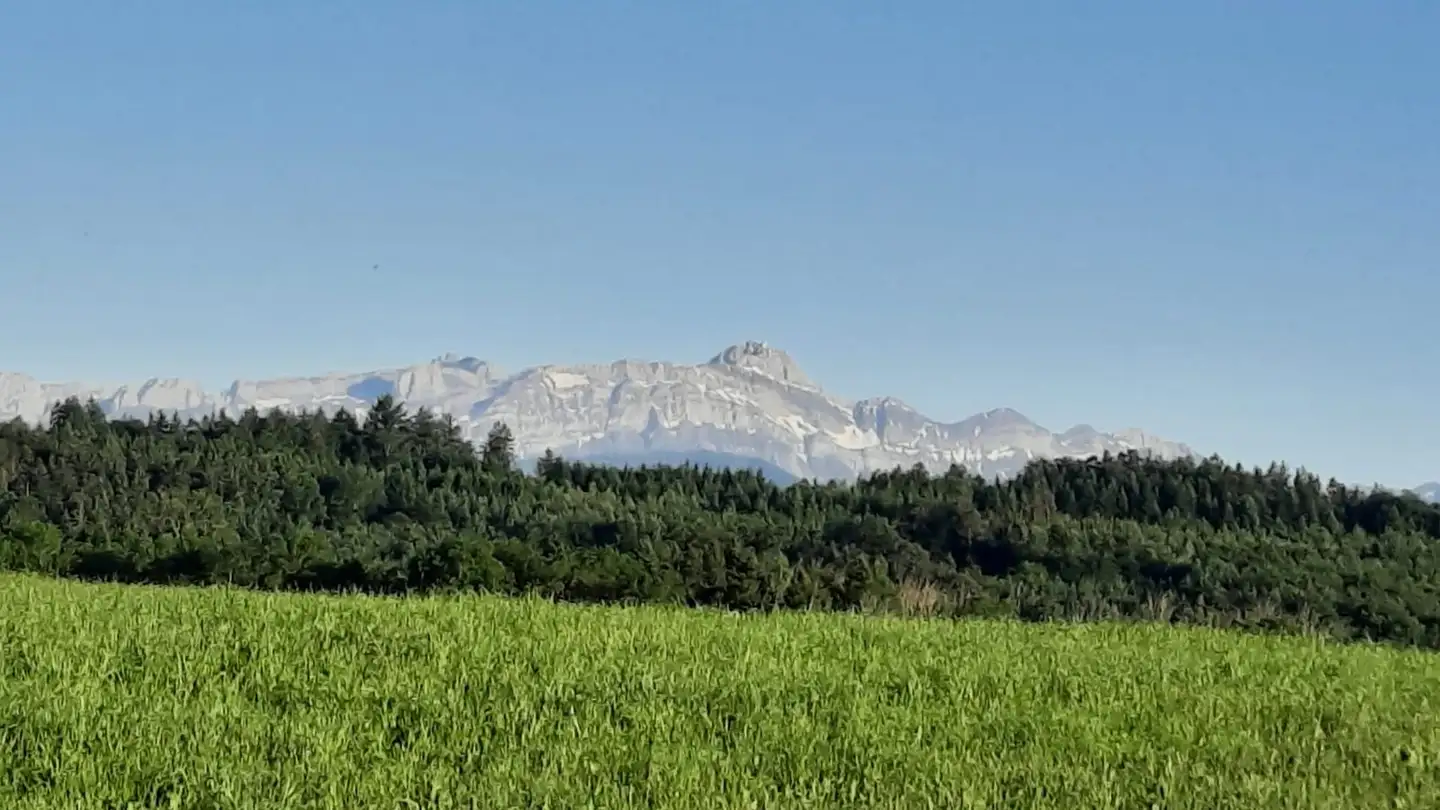 Wohnung mieten - Bernhausen 2, 9216 Heldswil - Foto 2