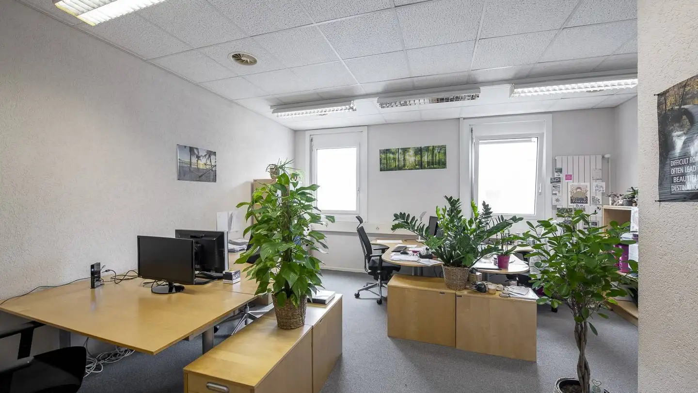 Spazio ufficio in affitto - Chemin des Aulx, 1228 Plan-les-Ouates - Foto 2