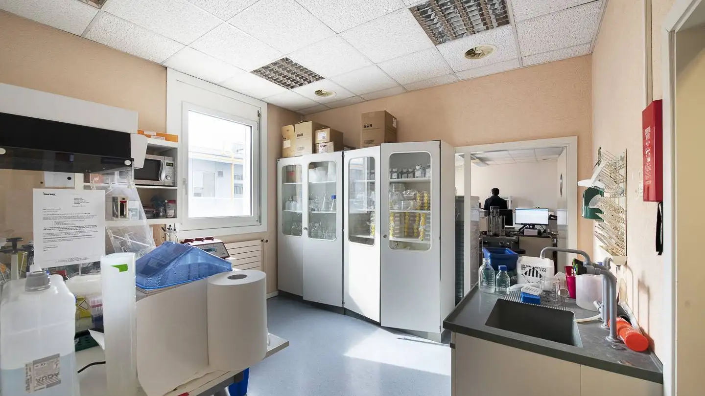 Spazio ufficio in affitto - Chemin des Aulx, 1228 Plan-les-Ouates - Foto 4