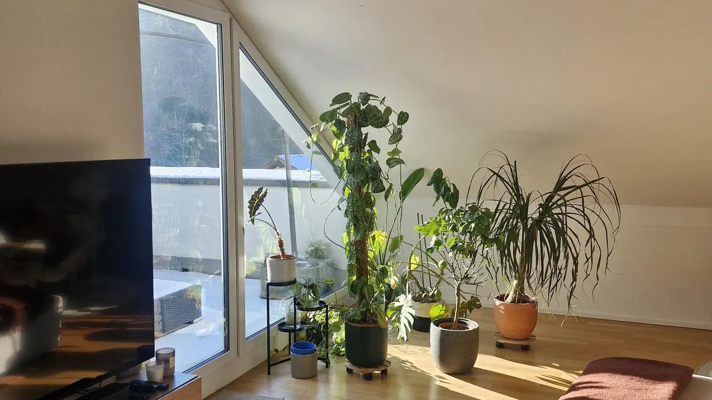 Appartamento in affitto - Püntenstrasse 4, 8143 Stallikon