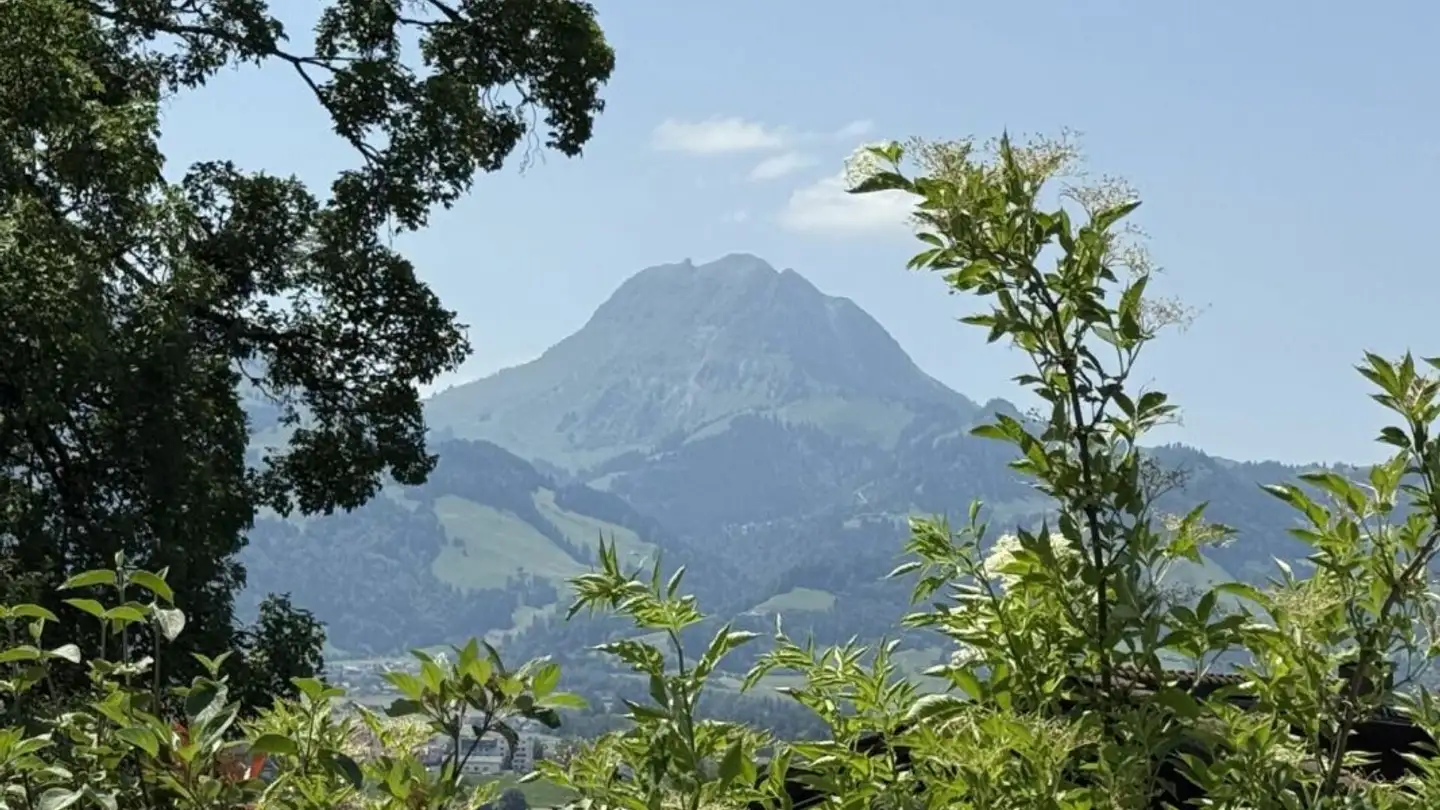 Attique à vendre - 1652 Botterens