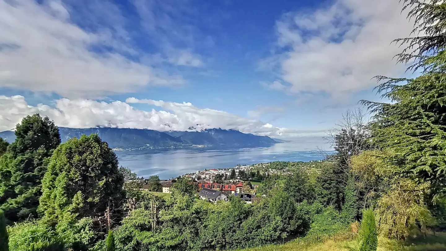 Einfamilienhaus kaufen - 1832 Chamby - Foto 3