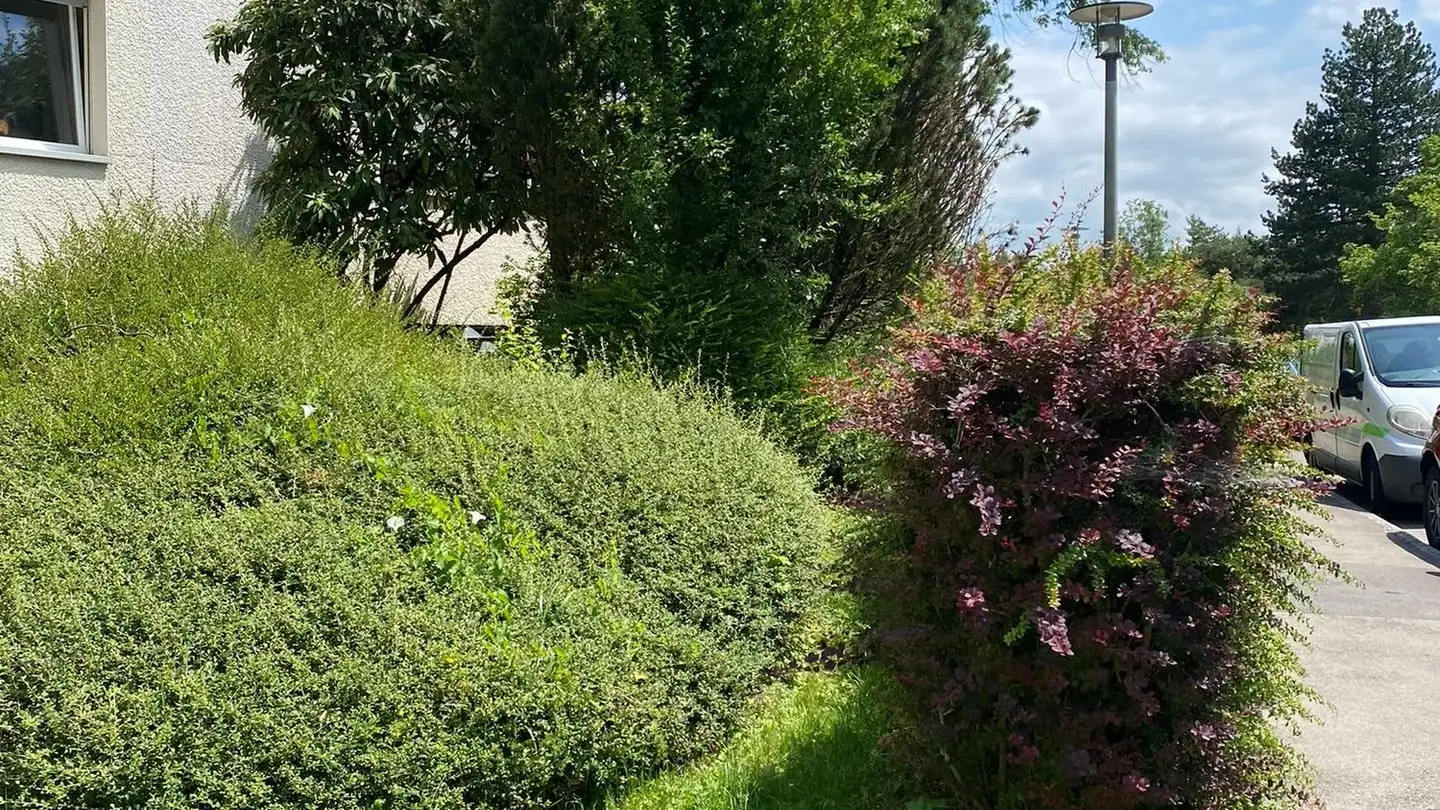 Appartamento in affitto - Zweiackerstrasse 45, 8053 Zürich