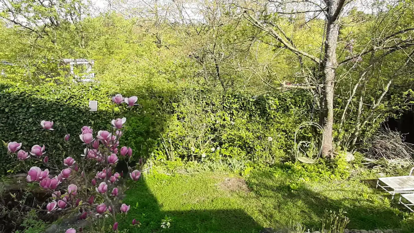 Stanza singola in affitto - Eichholz-Strasse, 3084 Wabern