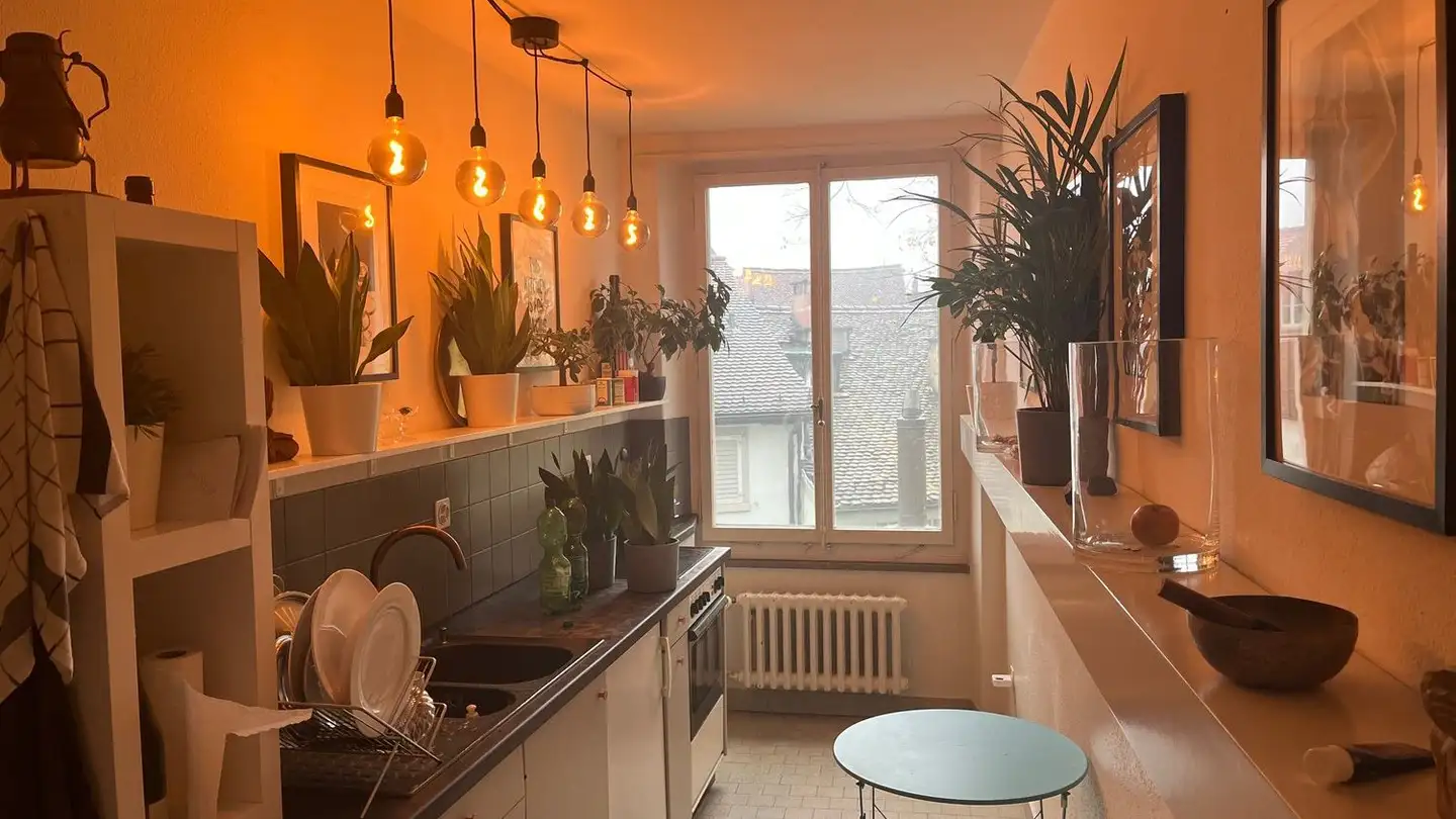 Furnished apartment for rent - Pfalzgasse 3, 8001 Zürich - Photo 4