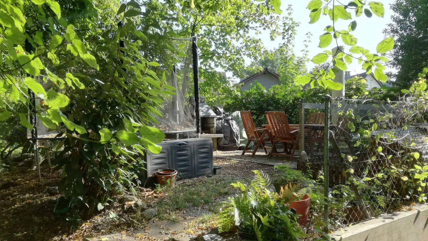 Single room for rent - Schmiedgasse 3, 8934 Knonau - Photo 3