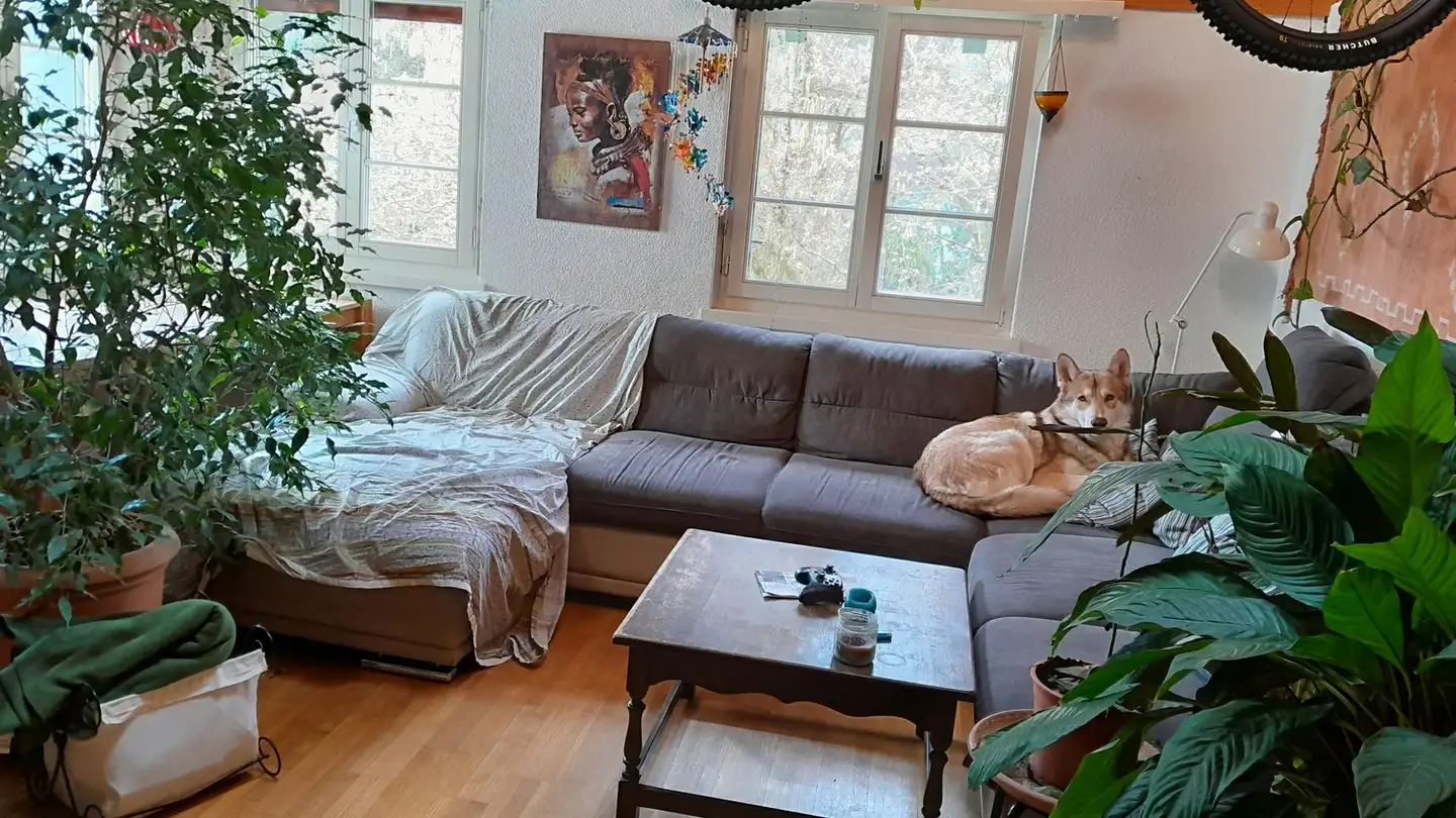 Single room for rent - Schmiedgasse 3, 8934 Knonau - Photo 2