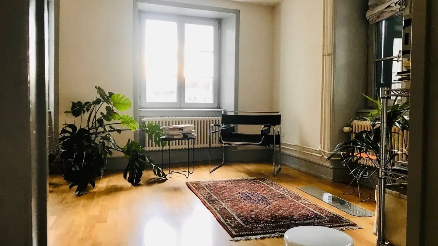 Apartment for rent - Greifengasse 4, 4058 Basel